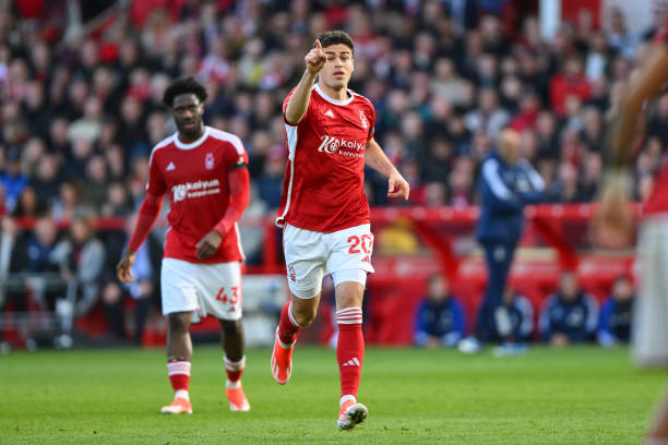 欧青赛不仅 欧青赛不仅