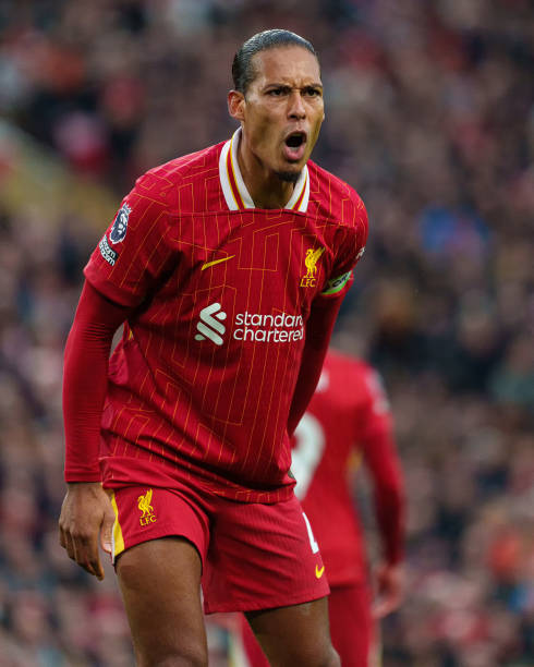 分析和判断 分析和判断